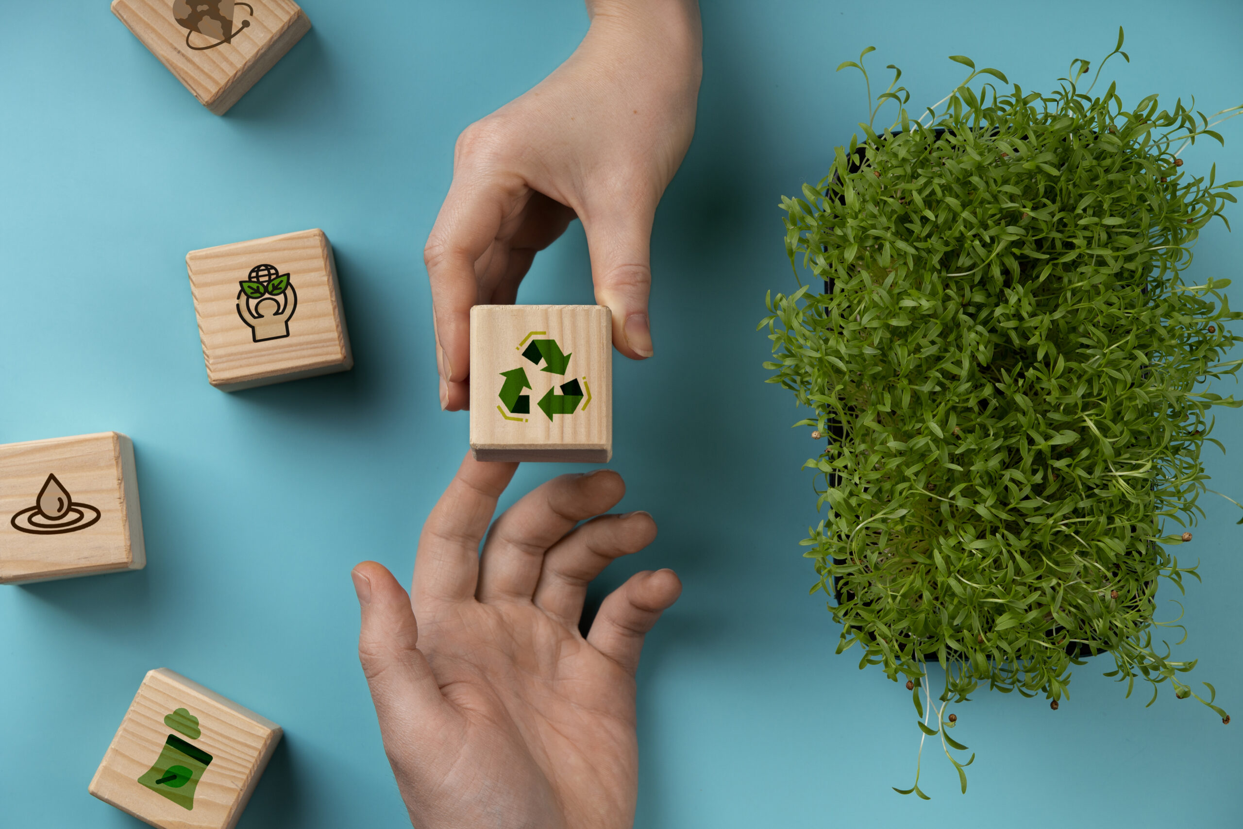 Sustainable Consumerism